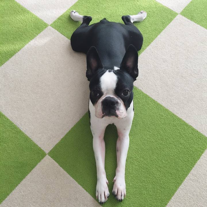 10ce480a 6c91 4dc9 a7c2 7745580dc3b4