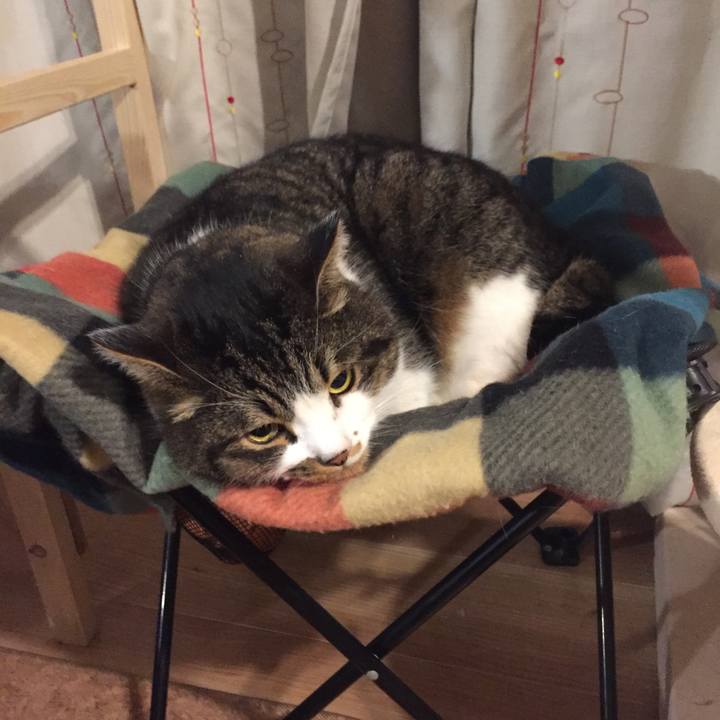 10cf43ed 502f 44bf 9f55 12e7fcf6fb67