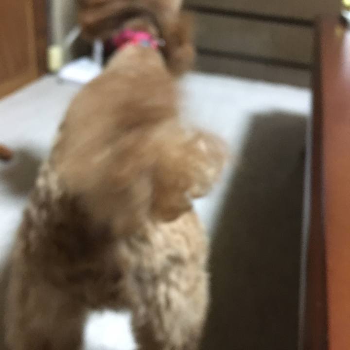 10cf55db 517e 4858 bd50 569dbbcb6774