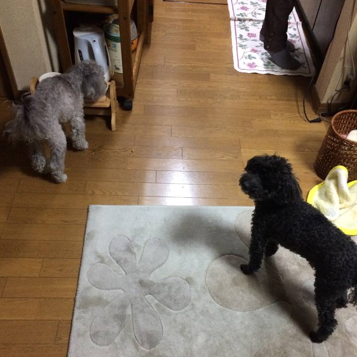 10cf6705 30cb 445d b9cf e30a8441eb1e