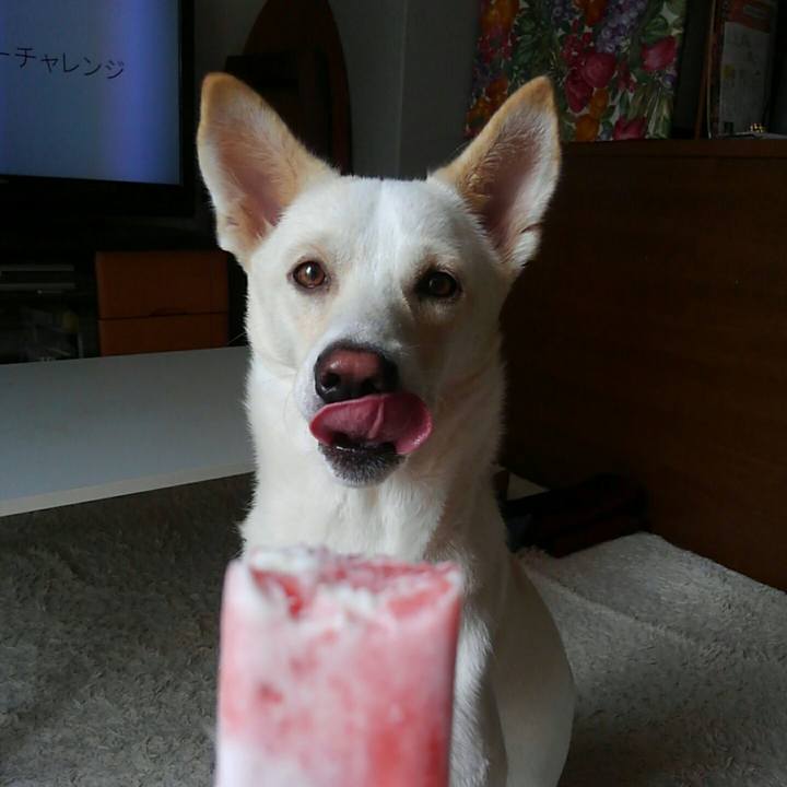 10cf6e75 6f0f 45a1 9688 5bb4f4e9743e