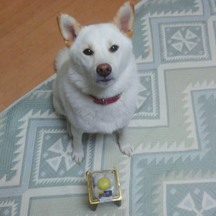 10d00d83 028d 41de ad90 791b6fa0f3bc