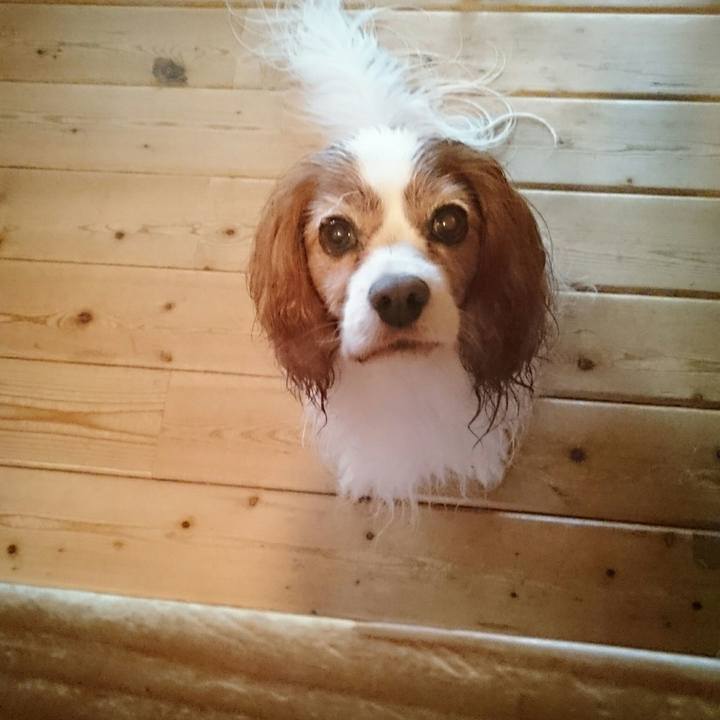 10d03f91 c66b 4b2b 9f98 8fbed13f31e3