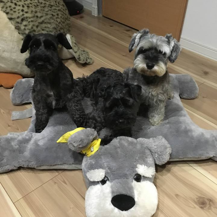 10d057c8 b5aa 449f b3b9 fcd02ad25381