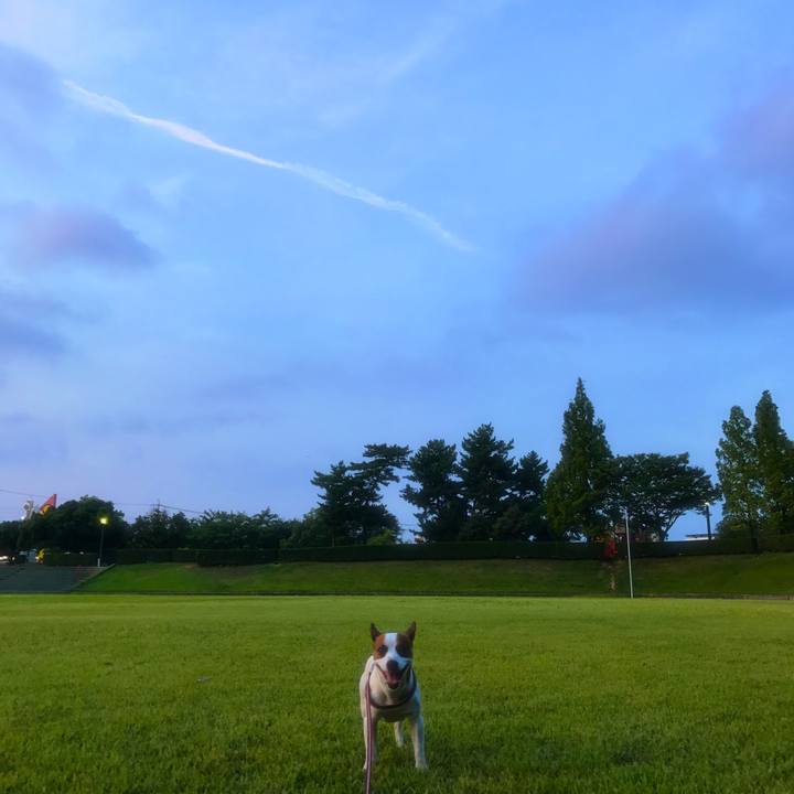 10d0e139 662a 44cf 9fe6 2836f6cddc9a