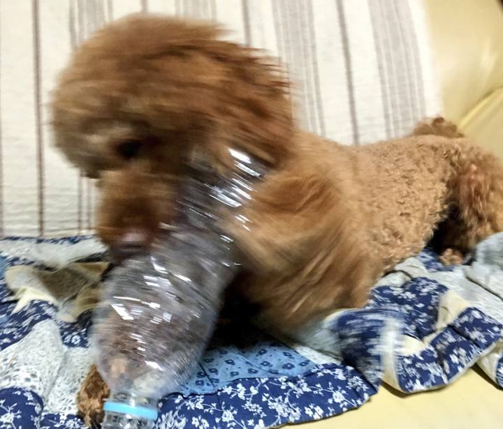 10d13d5a aac4 449f bb3c 334d4822e6c5