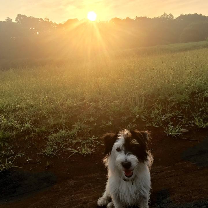 10d2528d aac6 4d96 98fa 194691c33399