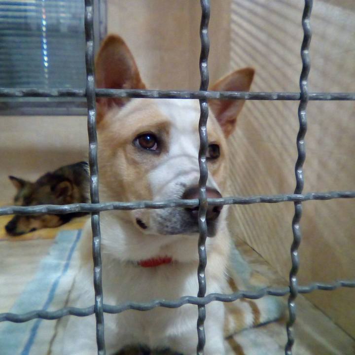 10d2ec5c cb48 4396 8596 497e75925783