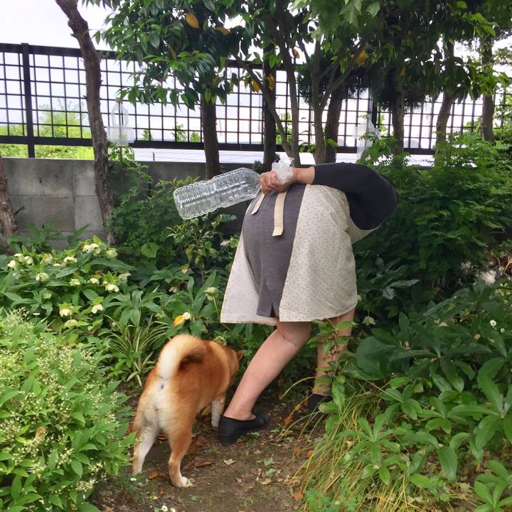 10d3053a 7f8c 45a9 9804 5f0b3b90e912