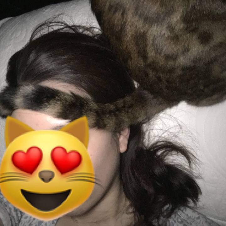 10d3c66c 5d25 44dd 84b2 fd967e7713bc