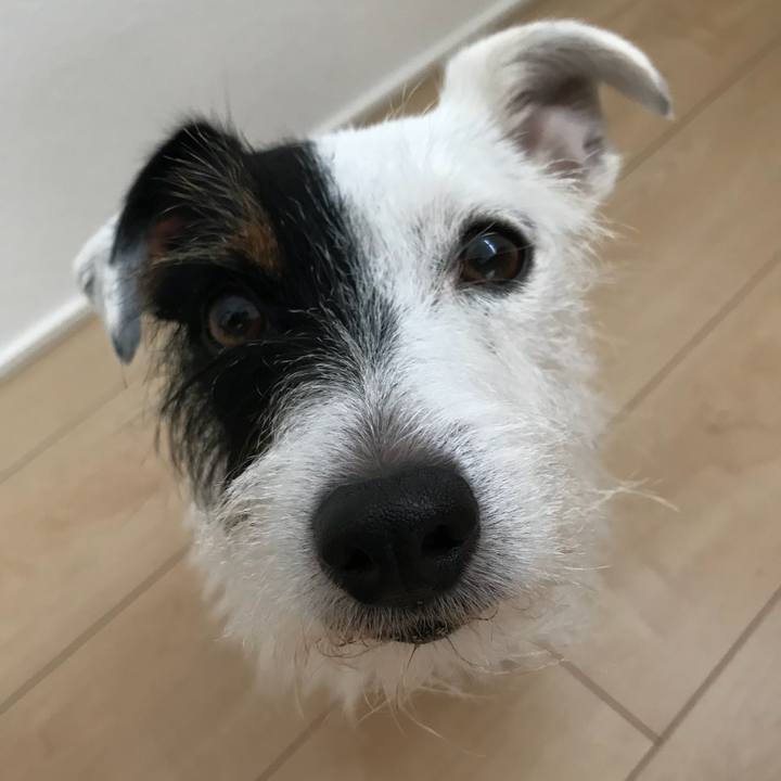 10d49b1e 6696 447d 8293 43e4d423059c