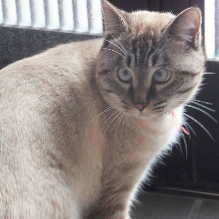 10d612eb 3790 4787 b37c 203ade33f6a0