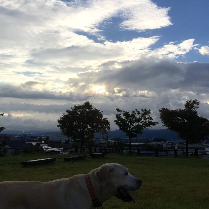 10d63701 4223 47dd b1d2 3d02a51b30a2