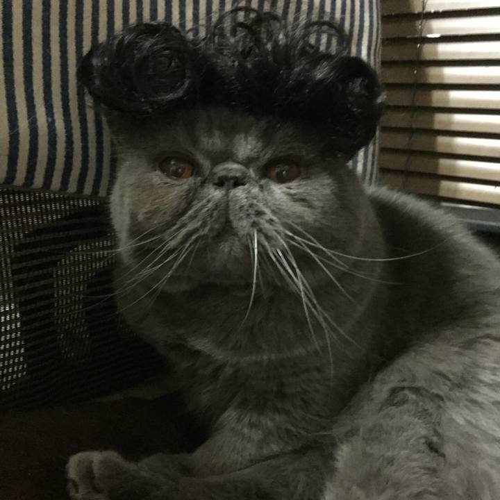 10d65574 5578 4271 8f05 852a45cf9f09