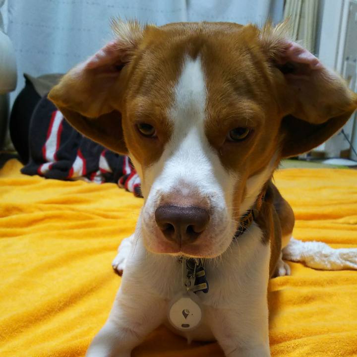 10d6b6a2 502a 4b47 a97d 8fd053f751db