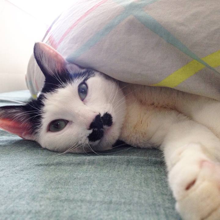 10d761e7 e168 441c 8a68 7bf0236f3c59