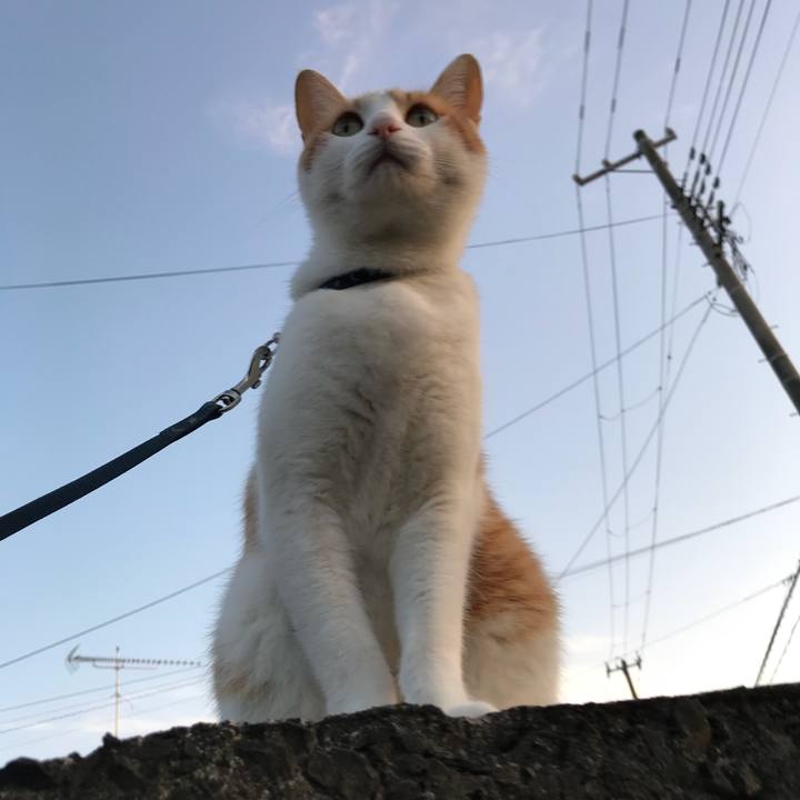 10d817e7 e327 40dd a105 20c839669fd0