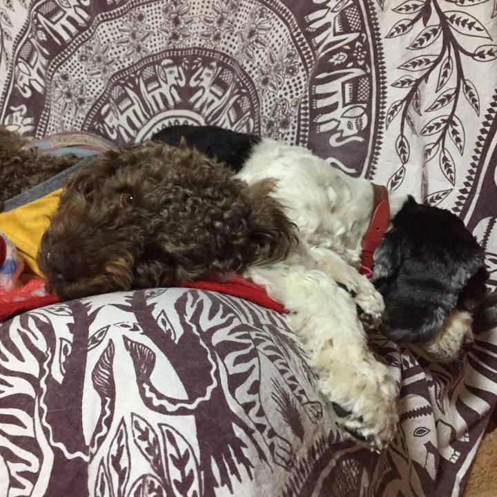 10d81d0d aea3 4ef3 9cc1 c14f44146825