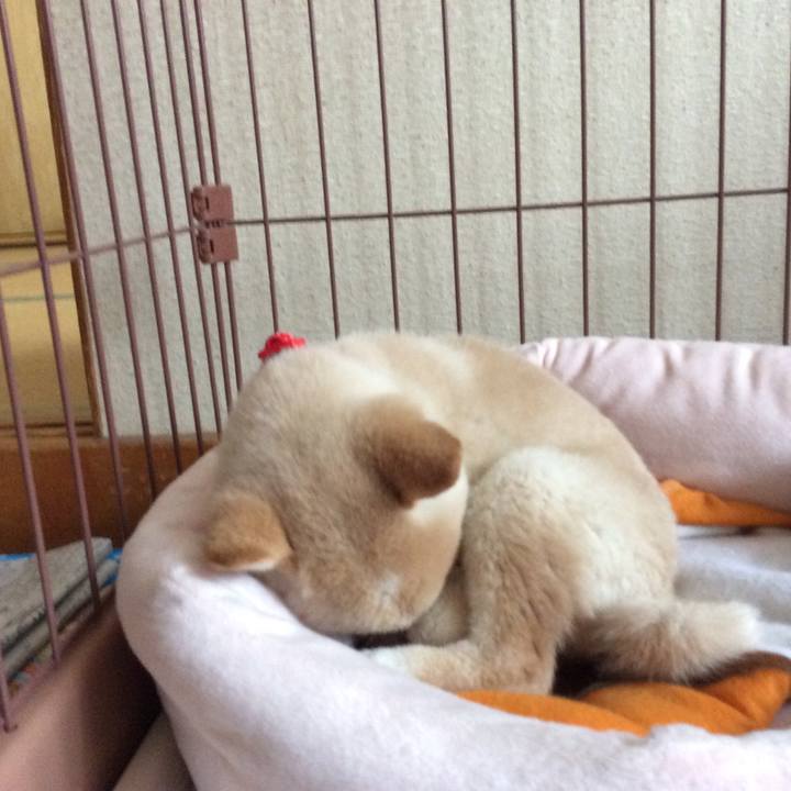 10d8214b 8bff 41d0 824b 22acddcddee5