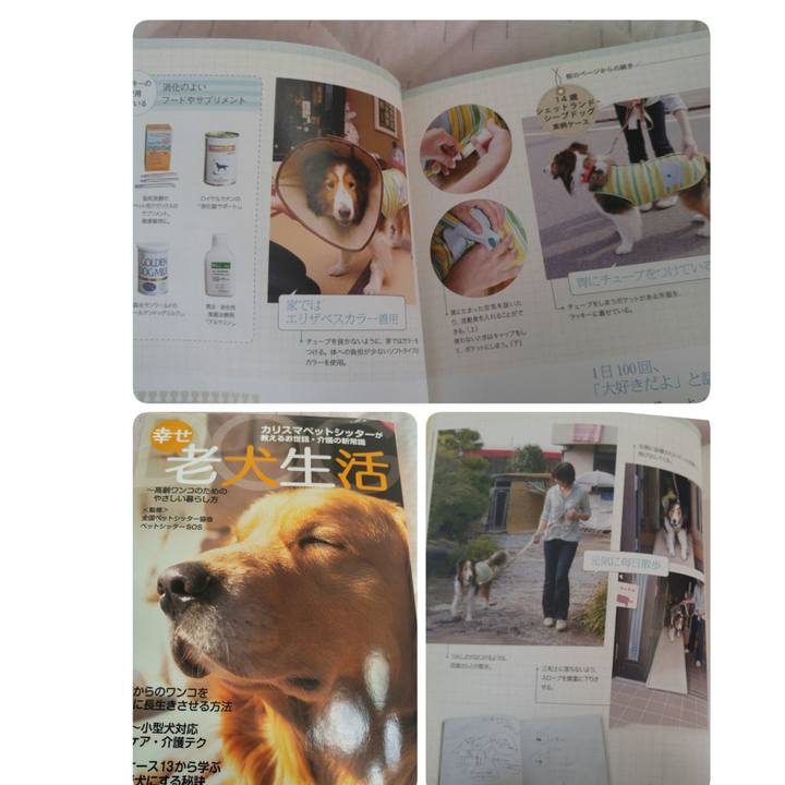 10d87197 13da 4c09 a473 1d17a6beb0dc