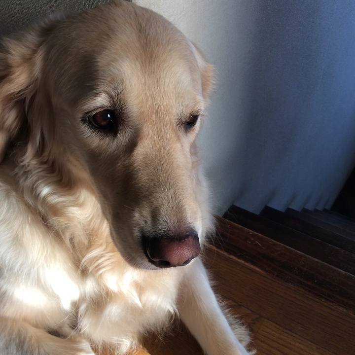 10d89c16 0d4a 4cc6 8a16 2468794429d8