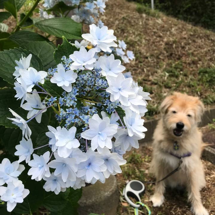 10d968c6 9b72 42a4 b97c 852f3e463495