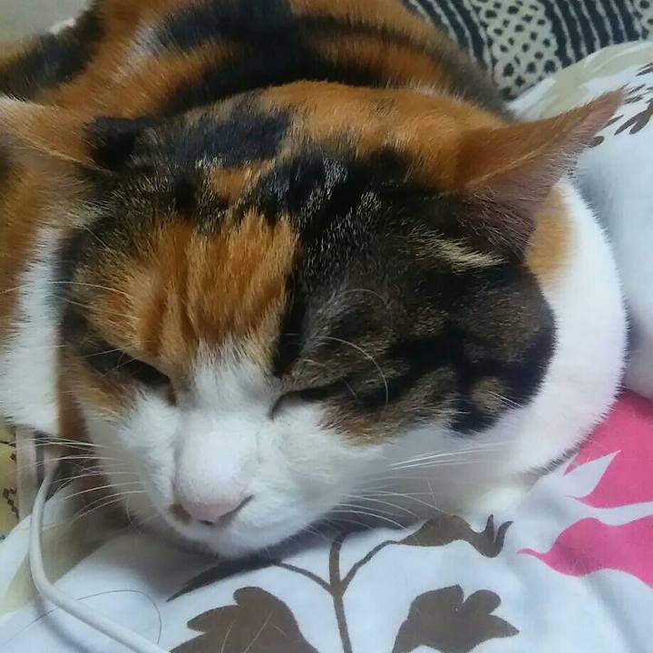 10d99852 8e45 44c9 ba0a 7dda4f29df94