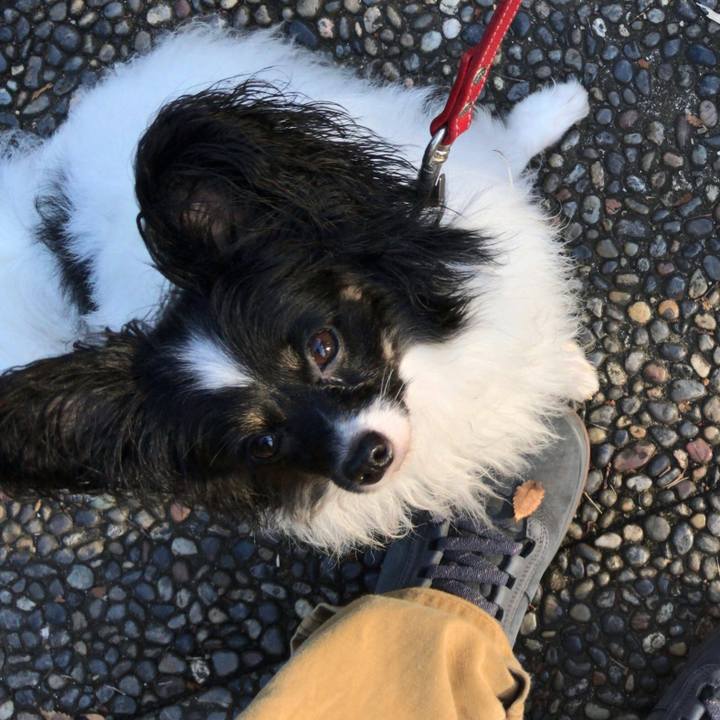 10d9c712 c19b 48f4 8af3 328a33f3b5e5