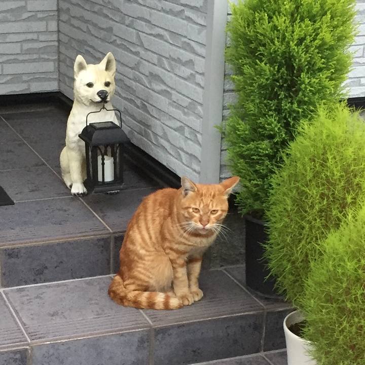 10da1071 ec48 4e0a b3a6 3f9f46c284e0