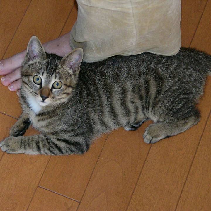 10da4ad1 6a28 4878 aea1 124a5b0cf922