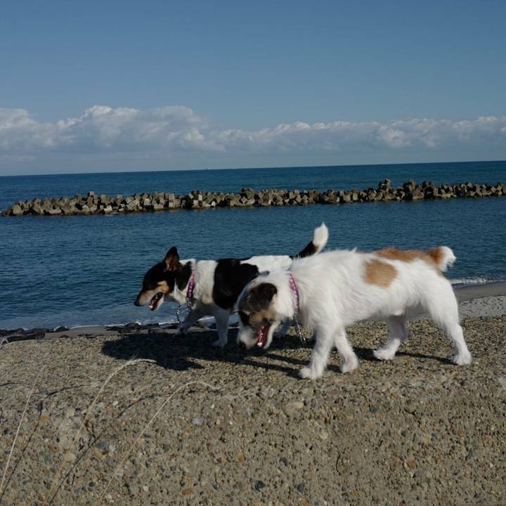 10da7010 6558 49b9 b532 ec2fb96c9ac2