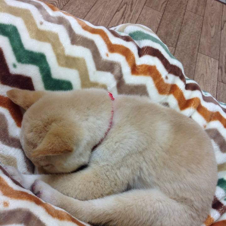 10da9549 23d3 436a 84fe 98c0ee0c9671