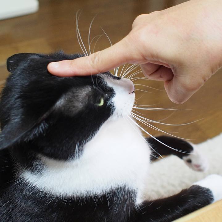 10daae5d 26c5 4a80 a8e9 3201e319159c