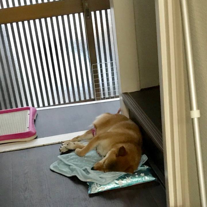 10dace47 afab 42ea 981d 9a703e13dc2a