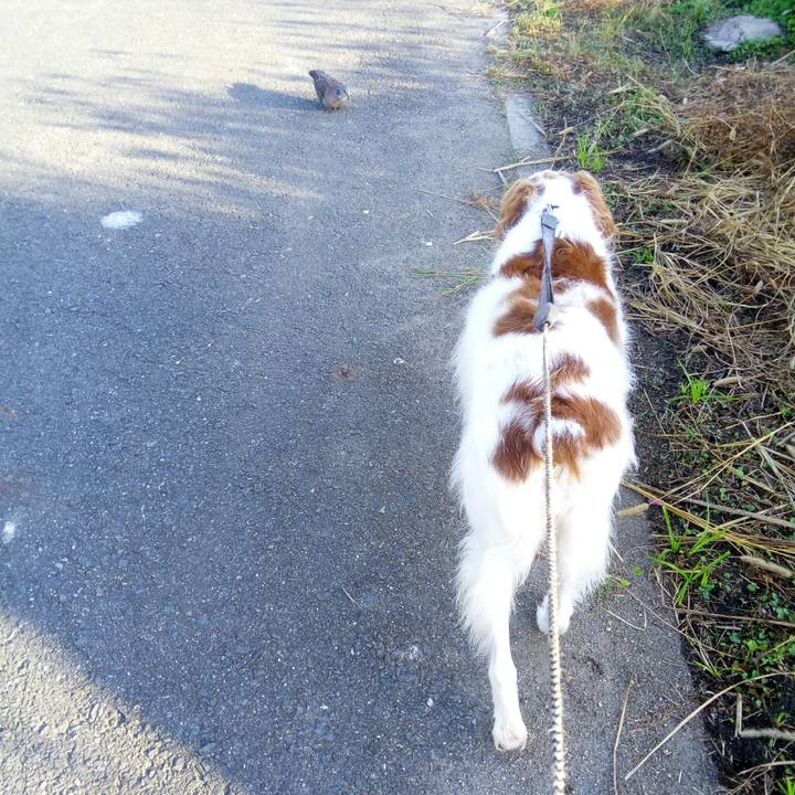 10dadc50 02fc 4f39 a69a 23f1560abb0f