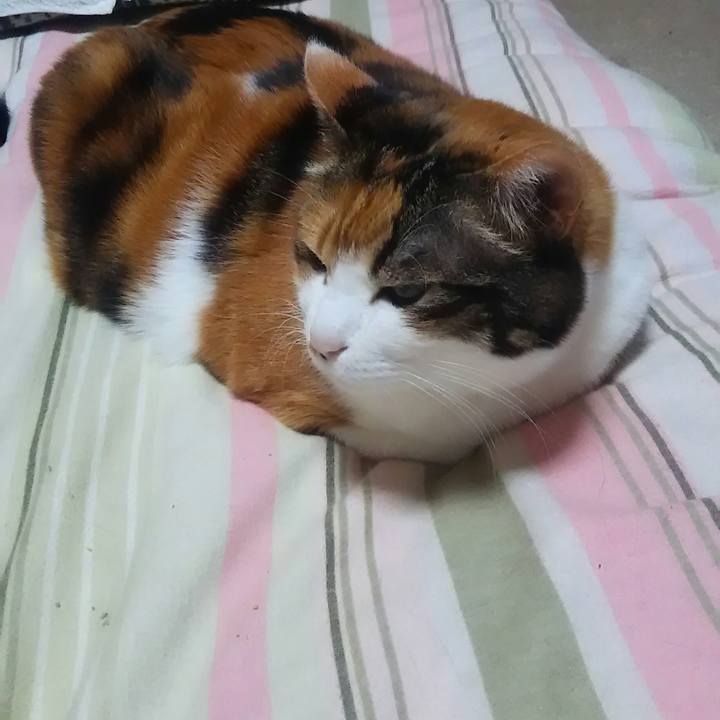 10db1a8d ba6d 4351 b352 4ea806ad8711