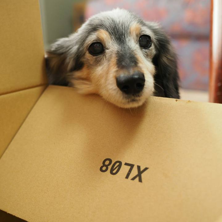 10dbe11a ecfe 4a6e a819 2c54d32730fa