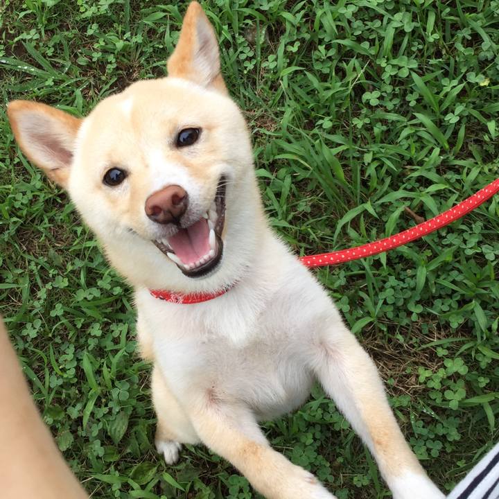 10dd0721 7770 4e3e 92b1 4cbb059a16ad