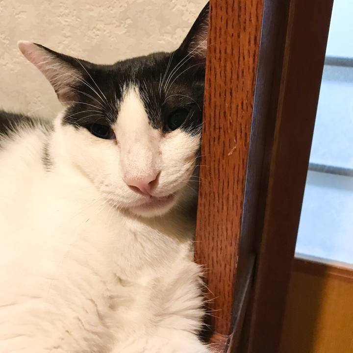 10dd18f3 f272 4ec2 943d 28158579aec4