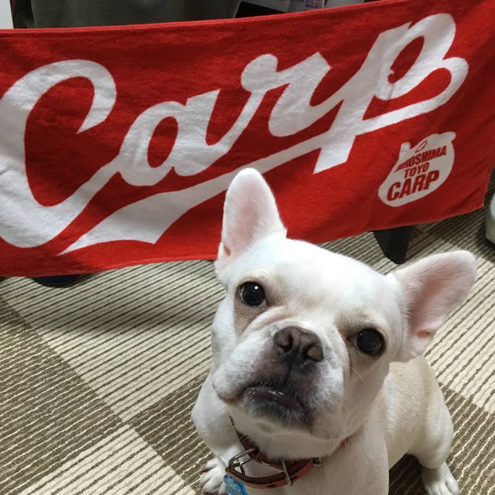 10dd5572 f76b 49a7 b210 dbf17b9efae9