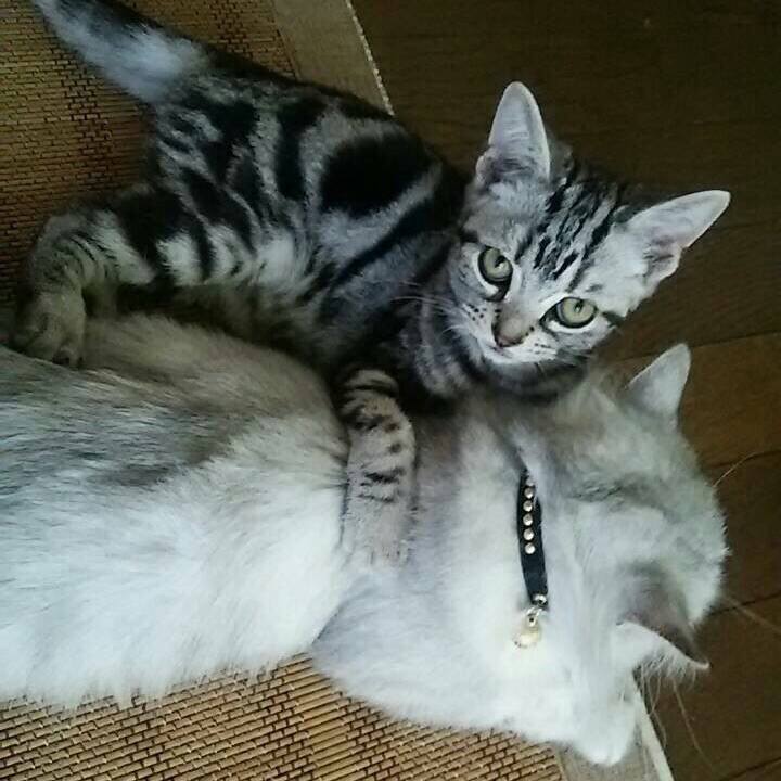 10dd696b e569 47d3 b1b8 0067dfee854b