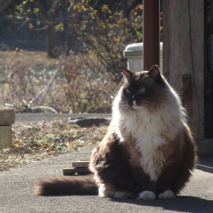 10dd7ece 3190 4b06 bb8f ef122514df38