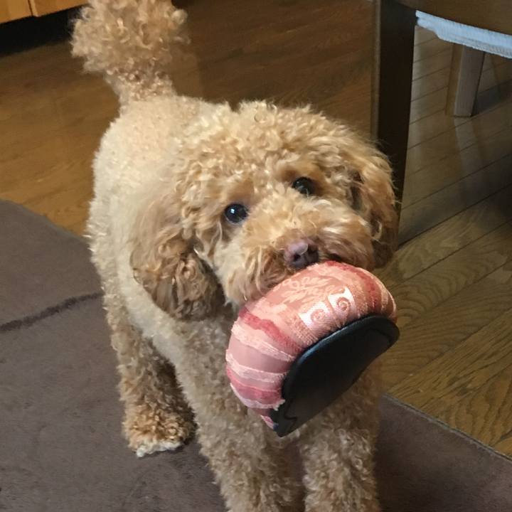 10dd878f 4bb1 4e35 84c6 511015313cf4