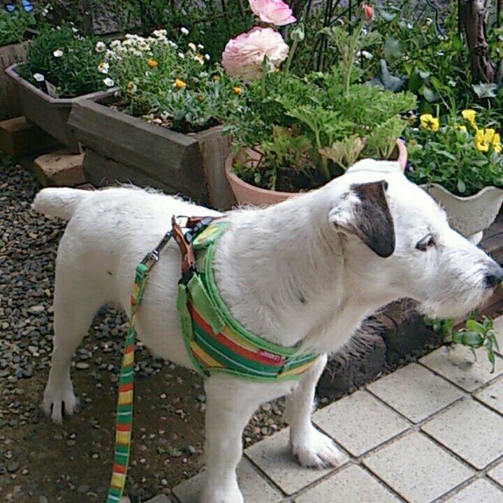 10df05fe 2f09 4f9d b54a 3856de62a8f4