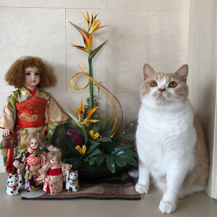 10df60a9 e250 4fca af7f 56bdbd696b0f