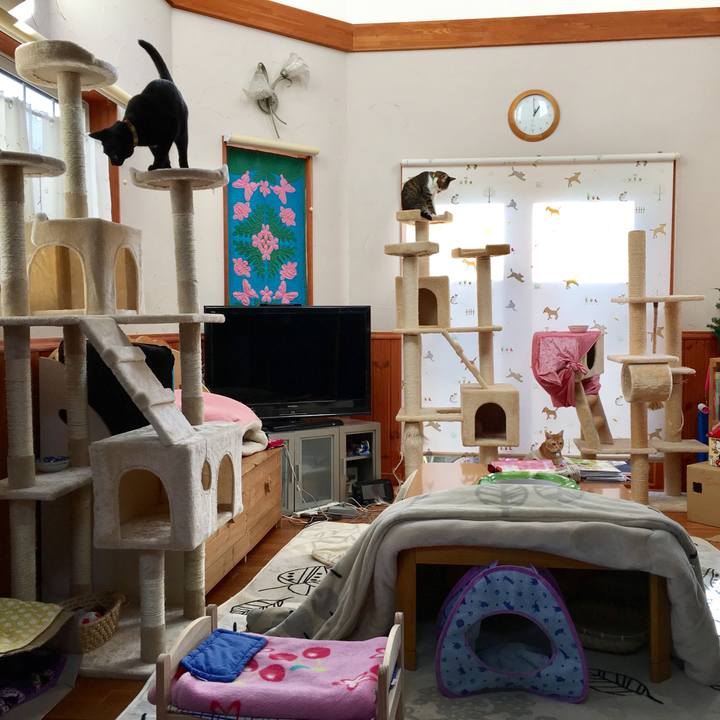 10e097bb 2f9d 4274 ac4f bf37280bdea0