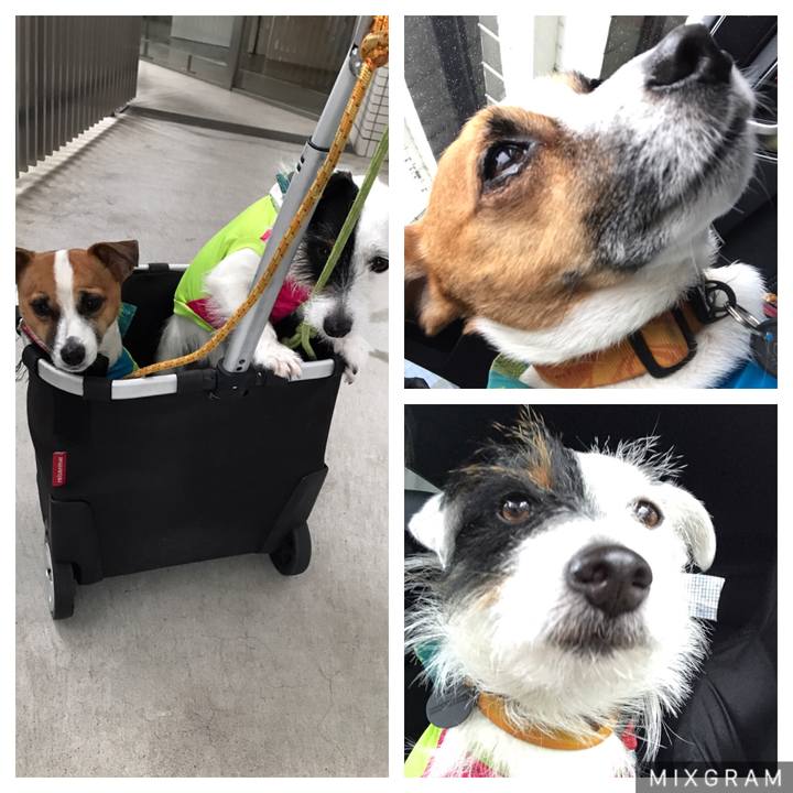 10e258fd 1370 4802 ab8f 1eb486910cf2