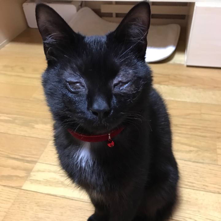 10e26268 7829 4352 9602 36c62d272d47