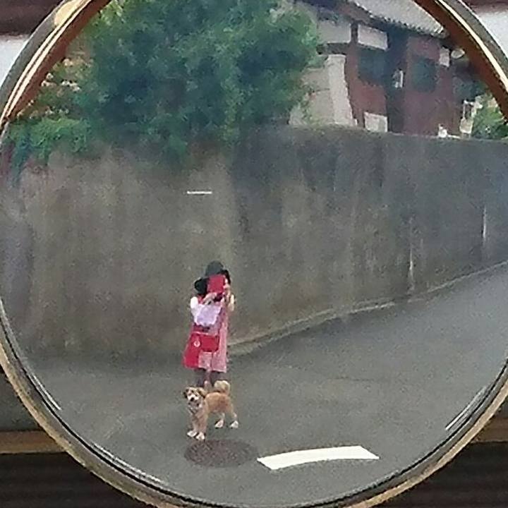 10e2762f 7b97 4be5 b09a 57c876467419