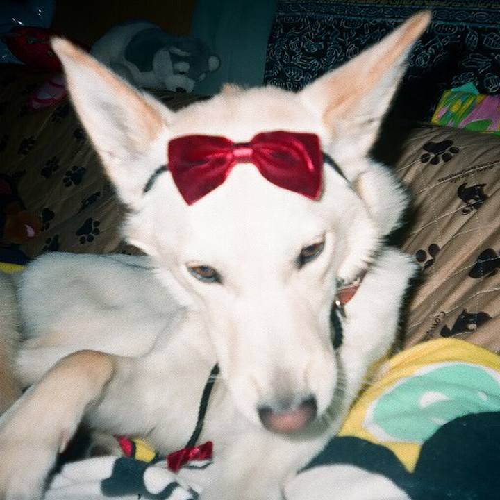 10e2d2cd 2fd9 43eb b869 c4fe87365583